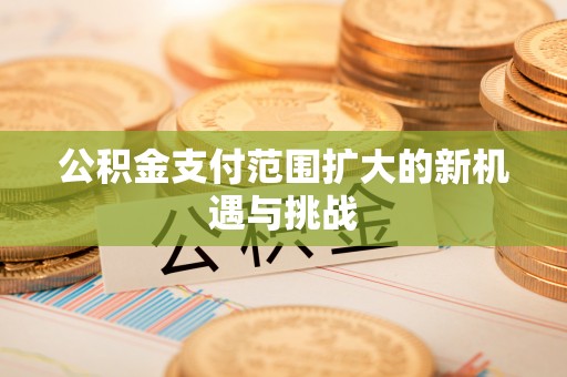 团队公积金支付范围扩大的新机遇与挑战