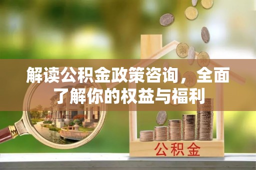 团队解读公积金政策咨询，全面了解你的权益与福利