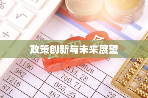 团队政策创新与未来展望